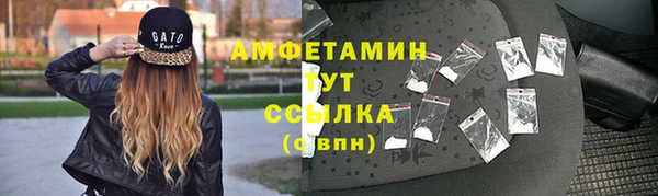 сатива Осинники