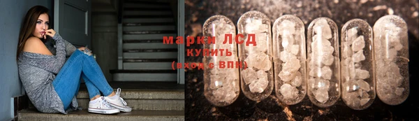 сатива Осинники