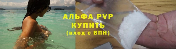 сатива Осинники