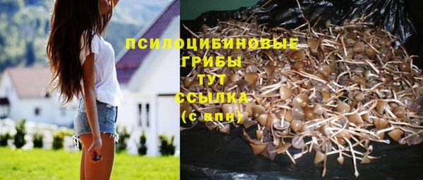 ГАЛЛЮЦИНОГЕННЫЕ ГРИБЫ Остров