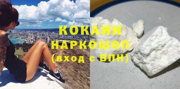 сатива Осинники