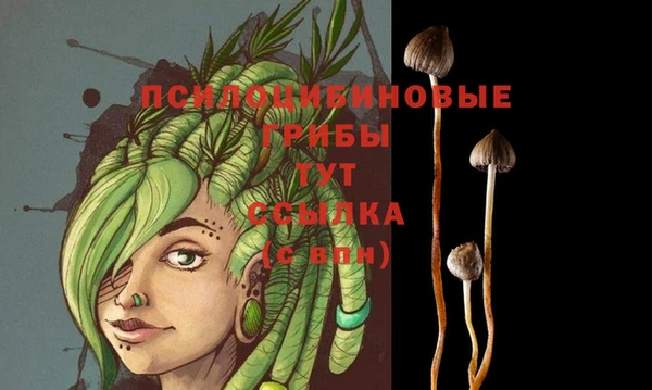 стаф Краснотурьинск