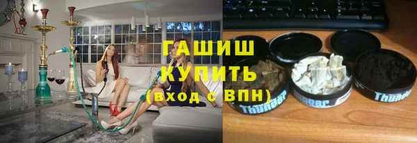 сатива Осинники