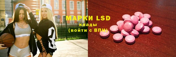 сатива Осинники